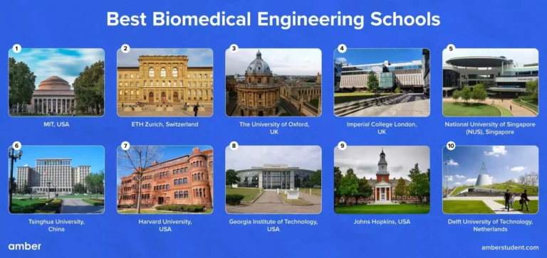 What Colleges Are Good For Biomedical Engineering?