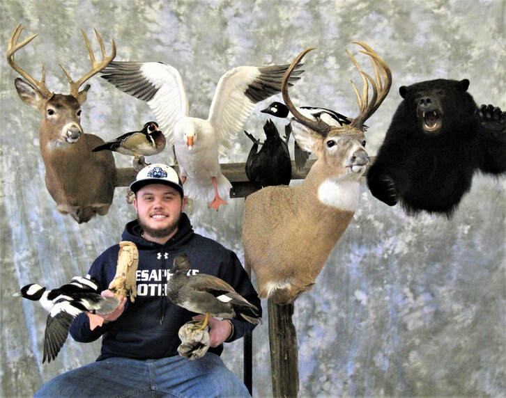 How Much Does Taxidermy School Cost?