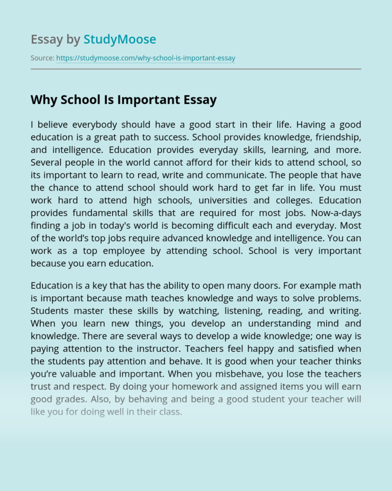 Why Is School Important Essay?