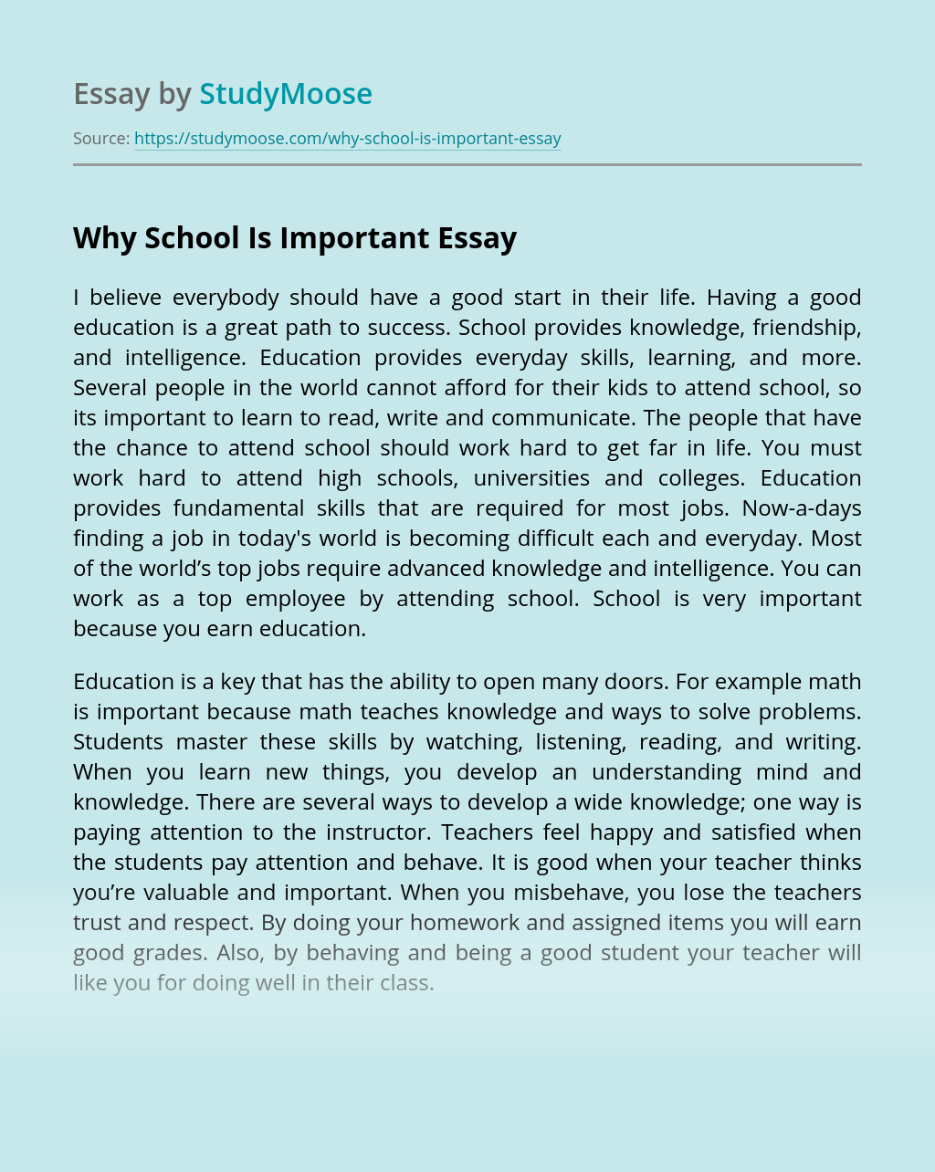 Why Is School Important Essay?